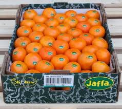 Athleisure for your active lifestyle in cedarhurst ny. Die Jaffa Orri Clementinen Sind Israel Spezialitaten Facebook