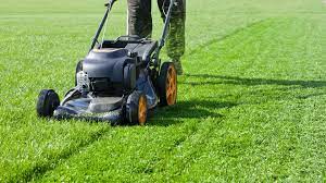 Corded electric lawn mowers and cordless battery powered lawn mowers. Best Cordless Lawn Mower Cut The Grass And The Cost With A Great Prime Day Deal Expert Reviews