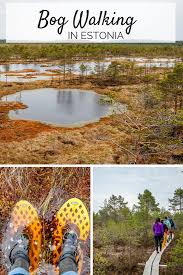 bog walking in estonia estonia travel
