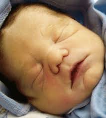 Devan Jovan Avera (2008-2008)