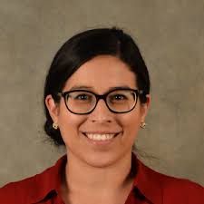 Cortical F-actin stabilization gen ...