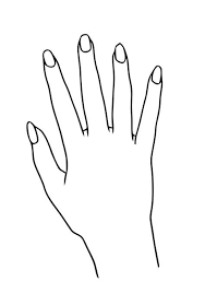 Do you think of yourself as someone who's mad over matte or is your knowledge of lacquers lacking? Nail Polish Coloring Page Artofit
