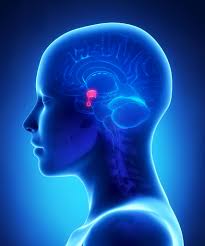 Pituitary disorders