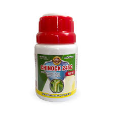 Chinock 24SC