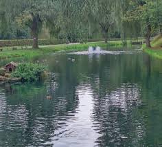 Hotel zur alten mühle (4 sterne) finden sie in neuenbürg unter der adresse im gänzbrunnen 1 die unterkunft hotel zur alten mühle verfügt über 2 zimmer, darunter doppelzimmer, einzelzimmer. Hotelbilder Hotel Zur Alten Muhle Neuenburg Holidaycheck