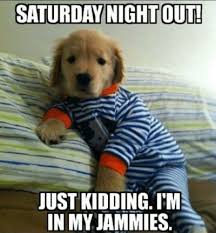 90 Funny Saturday Memes Images Pics For A Happy Weekend Funny Saturday Memes Golden Retriever Animals