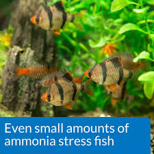 Small Salt Water Aquarium Works Instantly To Make Aquarium Water Safe For Fish Smallsaltwateraquarium Saltwater Aquarium Aquarium Saltwater