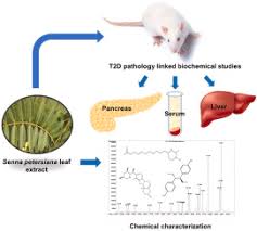 Image result for Senna petersiana
