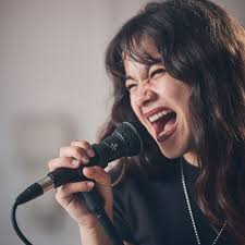 Devine DM58S Dynamic Vocal Microphone