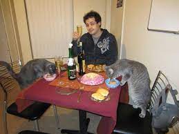 Previous episode #434 next episode. 11 Adorably Romantic Dinner Dates That Will Make You And Your Cat Jealous