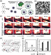 Maybe you would like to learn more about one of these? Smart Delivery Of Plasminogen Activators For Efficient Thrombolysis Recent Trends And Future Perspectives Refaat Advanced Therapeutics Wiley Online Library