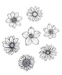 Planting design, often overlooked, can be tricky for new and experienced gardeners alike. 32 Beautiful Flower Drawing Information Ideas 2020 Beautiful Flower Drawings Flower Drawing Design Easy Flower Drawings
