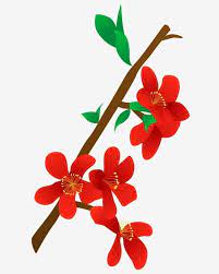 Vector Free Buckle Cartoon Begonia Flower Camellia Plum Peach Blossom Png And Vector With Transparent Background For Free Download