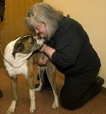 Monticello pet hospital dog training. Chiropractors Taking Care Of Pets Pain Outlook Work Herald Review Com