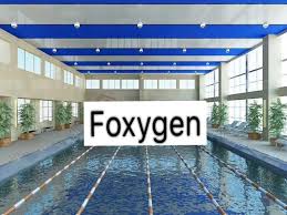 Pin By Pvc Stretch Ceiling Fabric Fil On Swimming Pool Stretch Ceiling Custom Murals Mural Wallpaper Swimming Pools