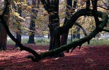 Haus & grundeigentum hannover, hannover, germany. Moin Von Wangerooge Pdf Free Download