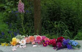 Ein Regenbogen Voller Bluten Ein Schweizer Garten Garten Blumen
