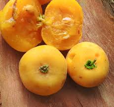 Image result for Dovyalis xanthocarpa