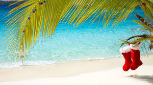 Image result for christmas in florida