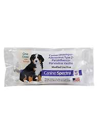 Here you may to know how to give 5 in 1 shot to puppy. Canine Spectra 5 Vaccine Single Dose Kvsupply Com