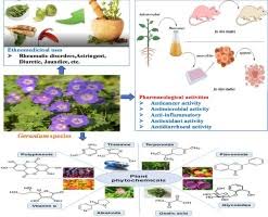 Image result for Geranium aculeolatum