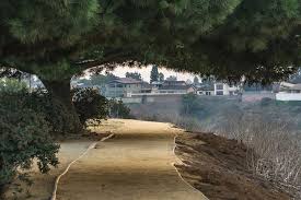 Kenneth hahn state recreation area. Kenneth Hahn State Recreation Area Photograph By Alex Grichenko