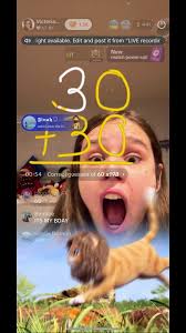 A leon the kitten compilation!! Please follow all of the people that are in  this video! Words can’t describe how thankful I am for each and every one  of you. I’m beyond blessed.❤️❤️ #compilation ...