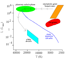 Stellar Evolution Diagram Wiring Diagrams