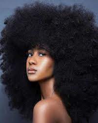 Big Hair Curly Hair Styles Natural Hair Styles Afro Hairstyles