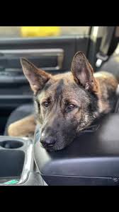 Gunnar z Diehlomov (@gunnar_z_diehlomov) | TikTok