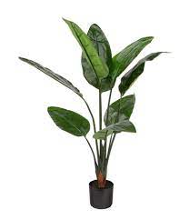 You will be satisfied with the shopping experience in our store. Artificial Flowers Plants Home Decor Accents The Home Depot Canada