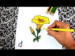See what merle kaner (stengelmerle) has discovered on pinterest, the world's biggest collection of ideas. How To Draw A Yellow Flower Tecoma Stans Youtube