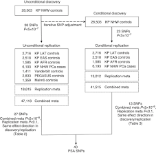 genome wide association study of prostate specific antigen