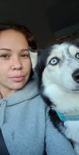 lost and found pets of brevard county