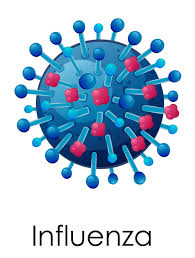 Influenza Vector Art, Icons, and Graphics for Free Download