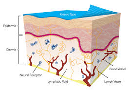 Kinesiology Taping Physiopedia