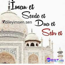Dini Sekiller