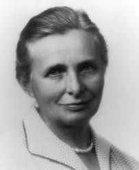 New England Wild Flower