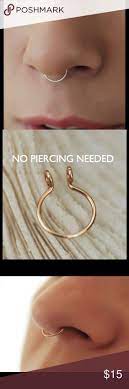 Pin By Vivia Maria Nepomuceno On Piercing Diy Jewelry Rings Faux Septum Ring Faux Septum