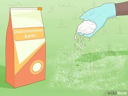 When you pass through an area with chiggers, you could have a few that hitch a ride on your body. 3 Ways To Get Rid Of Chiggers Wikihow