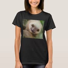 Cute Adorable Real Baby Sloth Sleeping T Shirt Zazzle Com Baby Sloth Sloth Sleeping Sloth