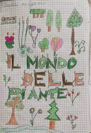 La soluzione per la definizione il regno vegetale è stata trovata nel nostro motore di ricerca. Il Mondo Delle Piante