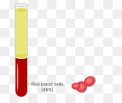 blood tube png cartoon blood tube labeling blood tubes