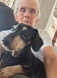 Missing my pet after passing away