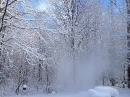 Download this image for free in hd resolution the choice download button below. Hd Wallpaper Snow Windy Winter Magic Scenic Snowy Snowstorm Frozen Wallpaper Flare