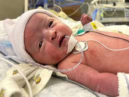 Fundraiser for Erich Pink by Eric Langworthy : Can you help Baby Reid!