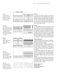 Retrouverez toutes les informations pour mener à bien vos projets de construction et de rénovation. Construction Massive En Bois By Lignum Issuu