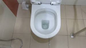 Johnson suisse one piece wc suite. Close Coupled 2013 Johnson Suisse Toilet Youtube