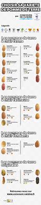 Pommes De Terre Varietes Et Usages Cuisine Recettes De Cuisine Trucs Et Astuces Cuisine