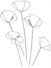 It makes it easier to focus on the details of the bud. Easy Poppy Flowers Drawing Novocom Top